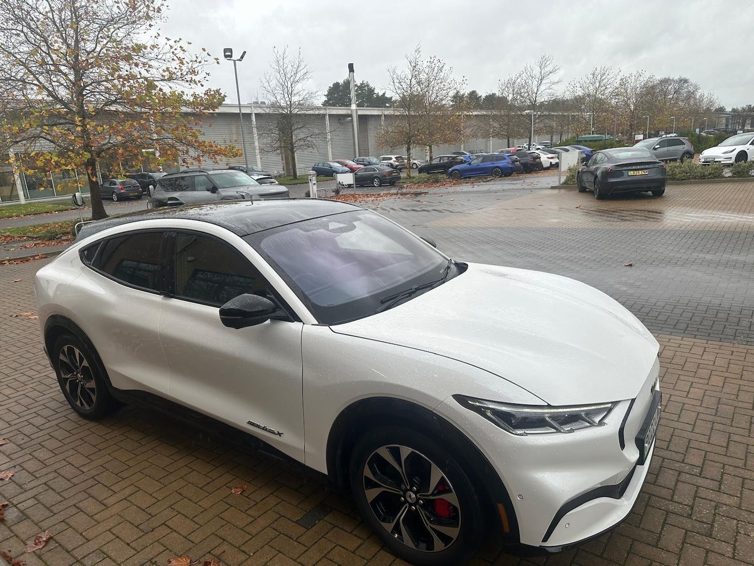 Used Ford Mustang Mach-E 2022 for sale - 76539087: Photo 14