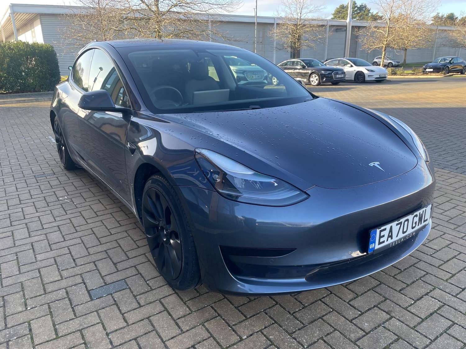 Used Tesla Model 3 2020 for sale - 77016584: Photo 3