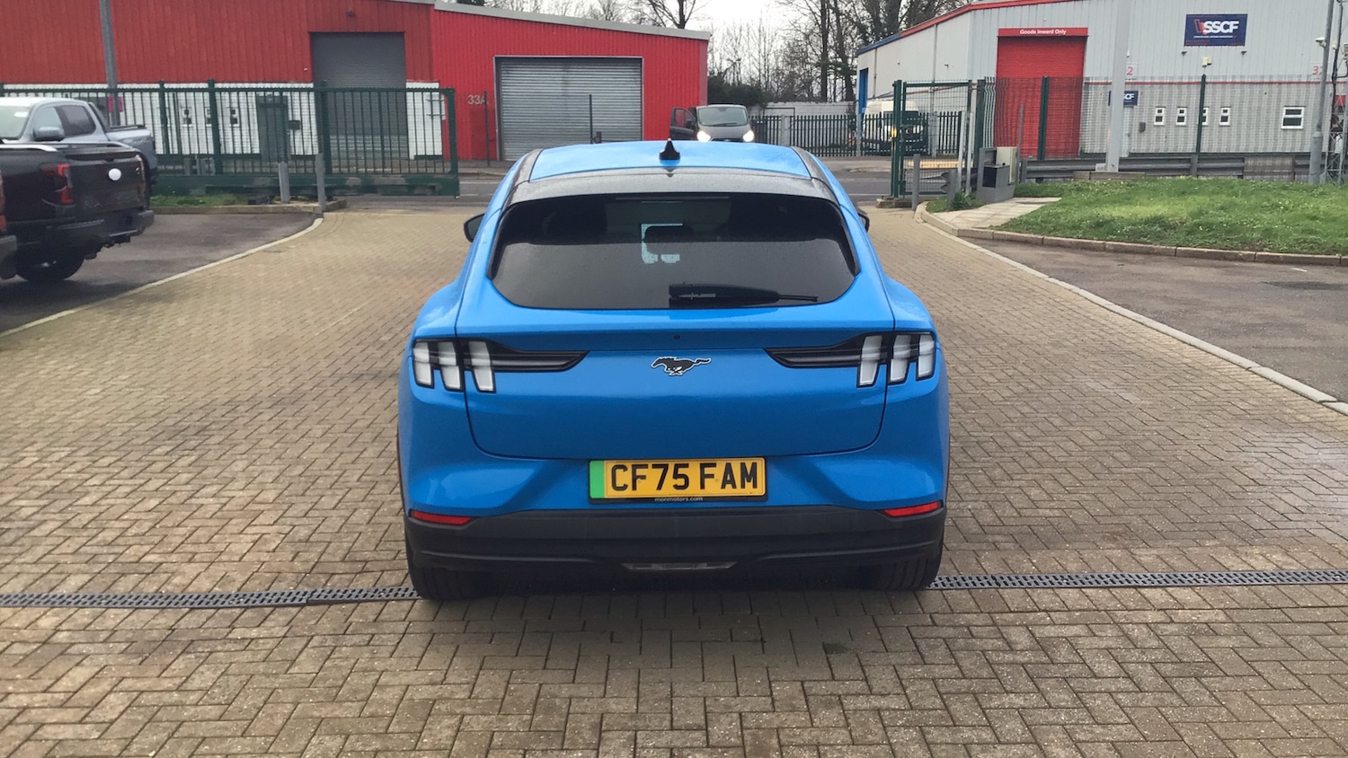 Used Ford Mustang Mach-E 2025 for sale - 77603218: Photo 37