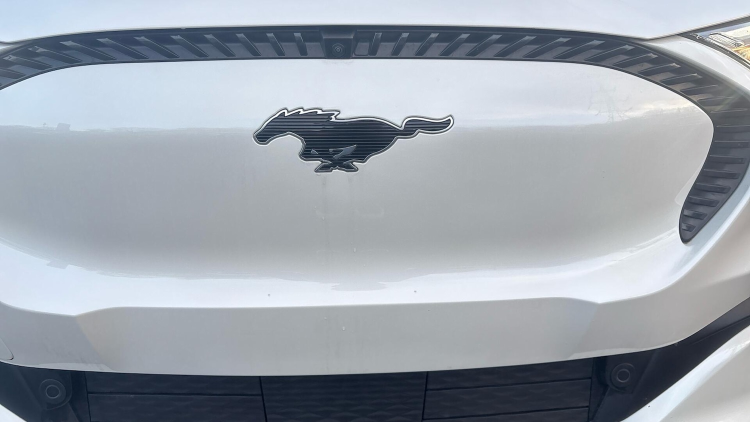 Used Ford Mustang Mach-E for sale - 77603238: Photo 24