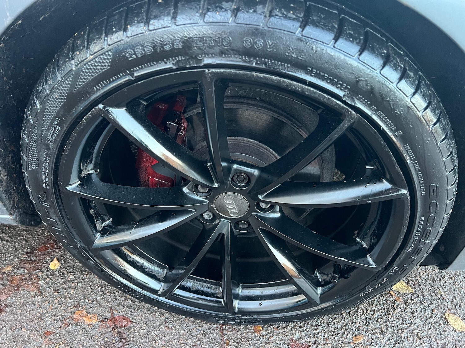 Used Audi A4 Avant for sale - 76742535: Photo 10