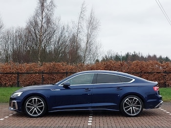 Used Audi A5 2023 for sale - 77035057: Photo