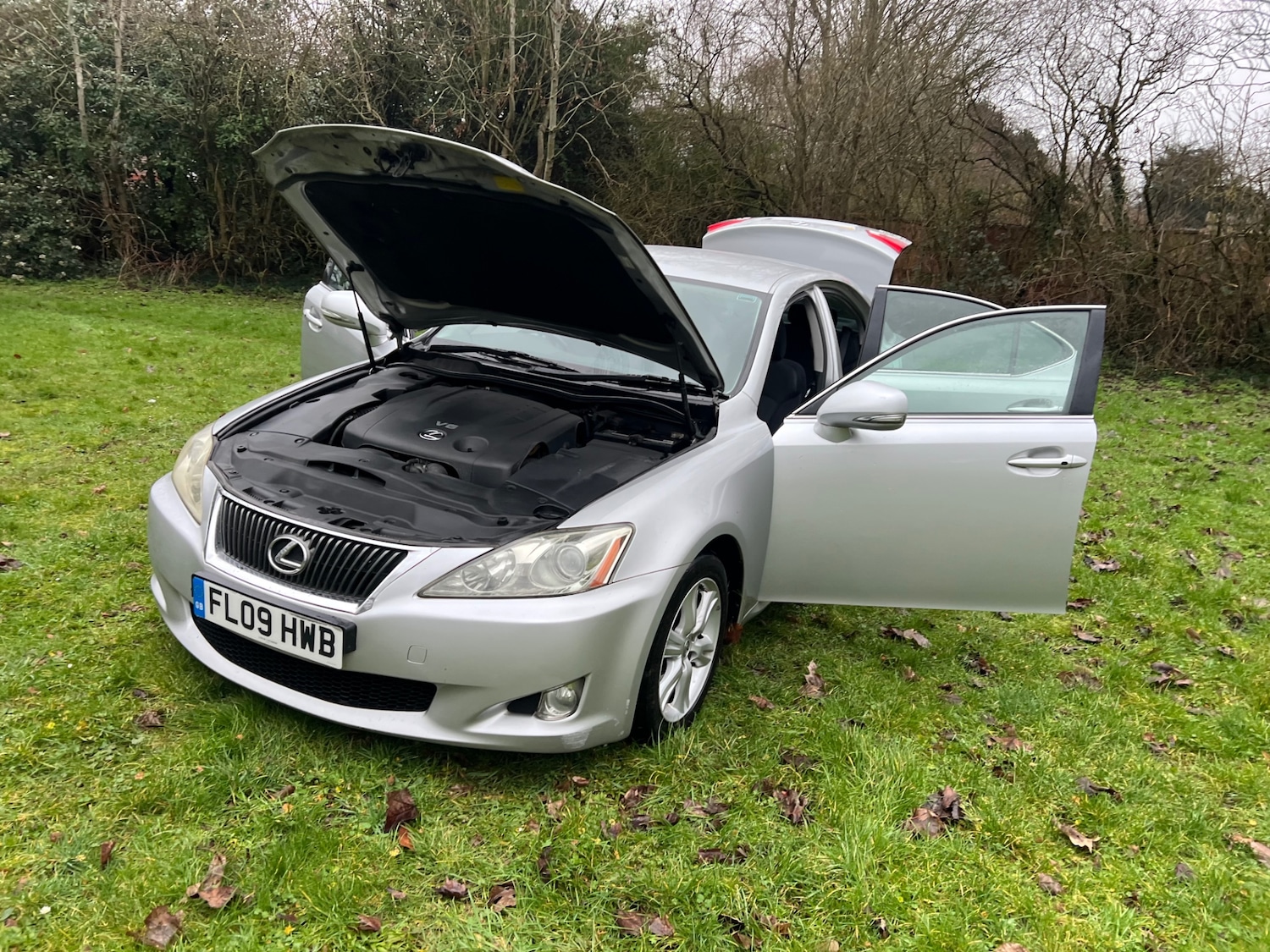 Used Lexus IS 2009 for sale - 77497587: Photo 26