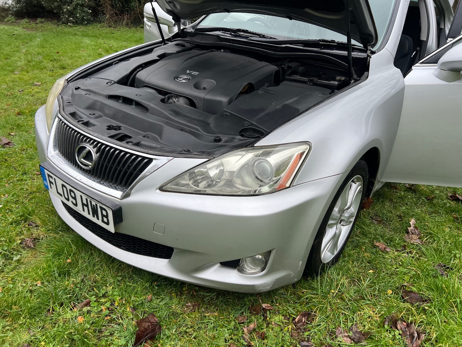 Used Lexus IS 2009 for sale - 77497587: Photo 30