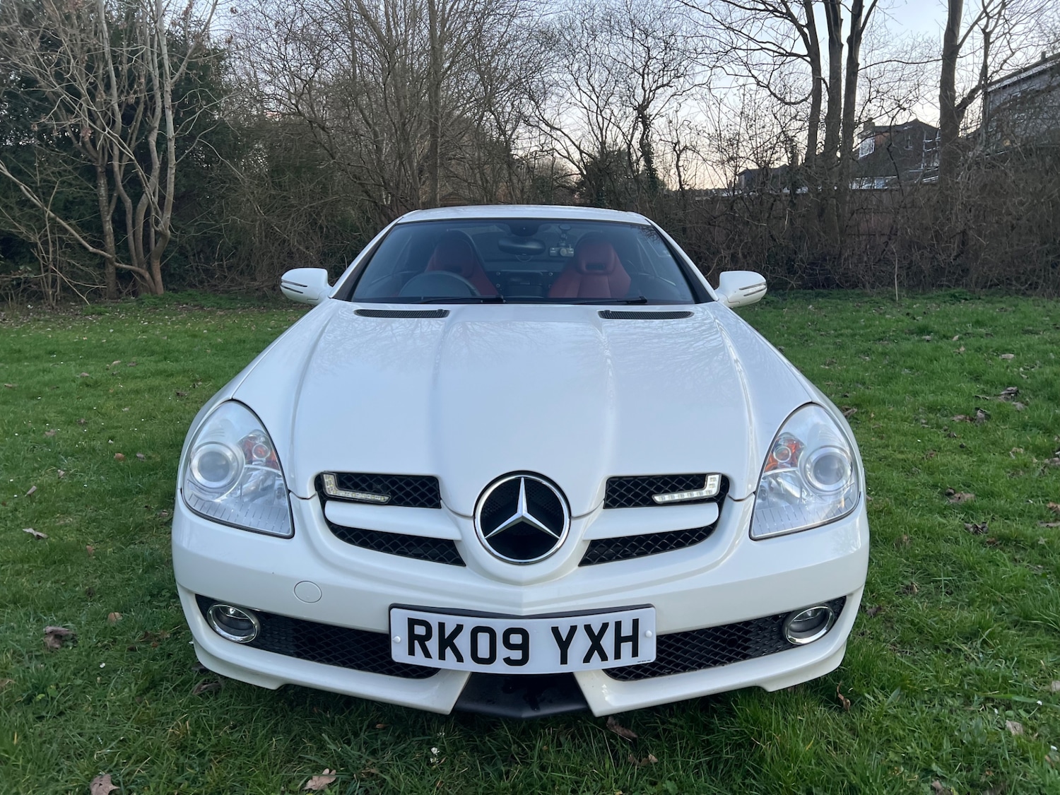 Used Mercedes-Benz SLK 2009 for sale - 77743192: Photo 1