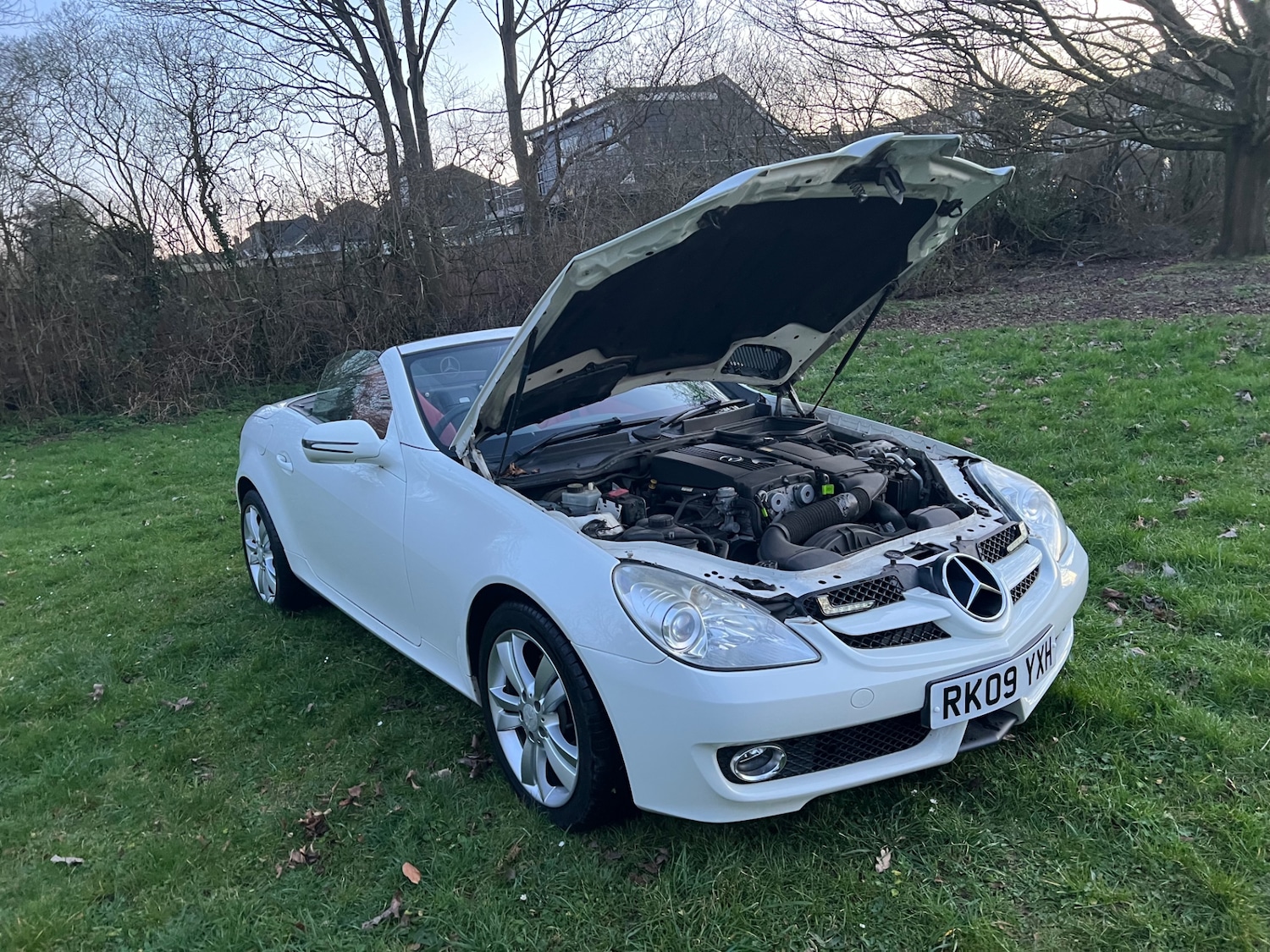 Used Mercedes-Benz SLK 2009 for sale - 77743192: Photo 12