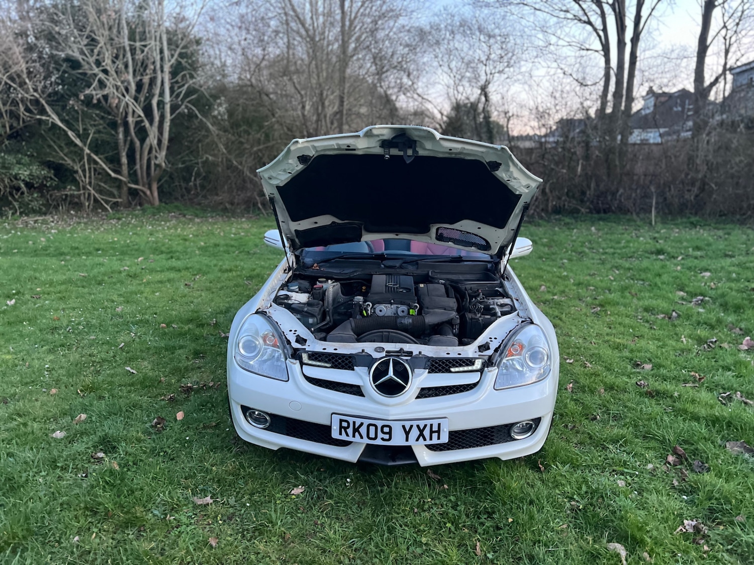 Used Mercedes-Benz SLK 2009 for sale - 77743192: Photo 13