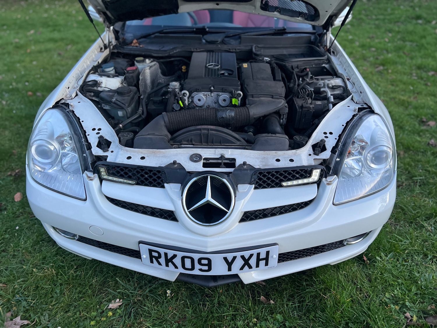 Used Mercedes-Benz SLK 2009 for sale - 77743192: Photo 14