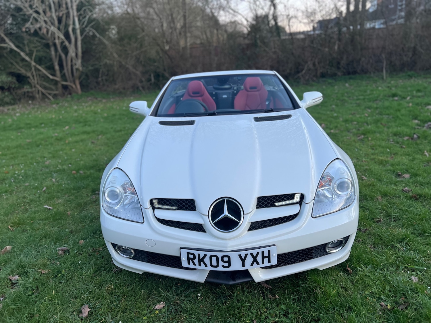 Used Mercedes-Benz SLK 2009 for sale - 77743192: Photo 18