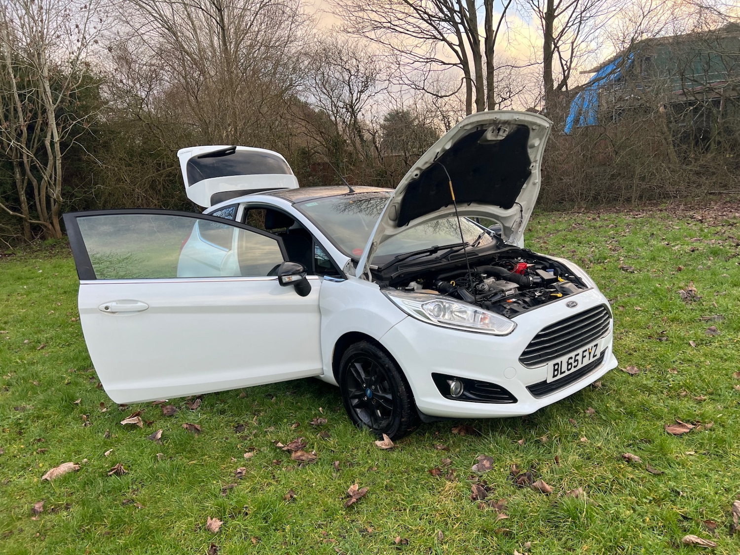 Used Ford Fiesta 2015 for sale - 77228528: Photo 27