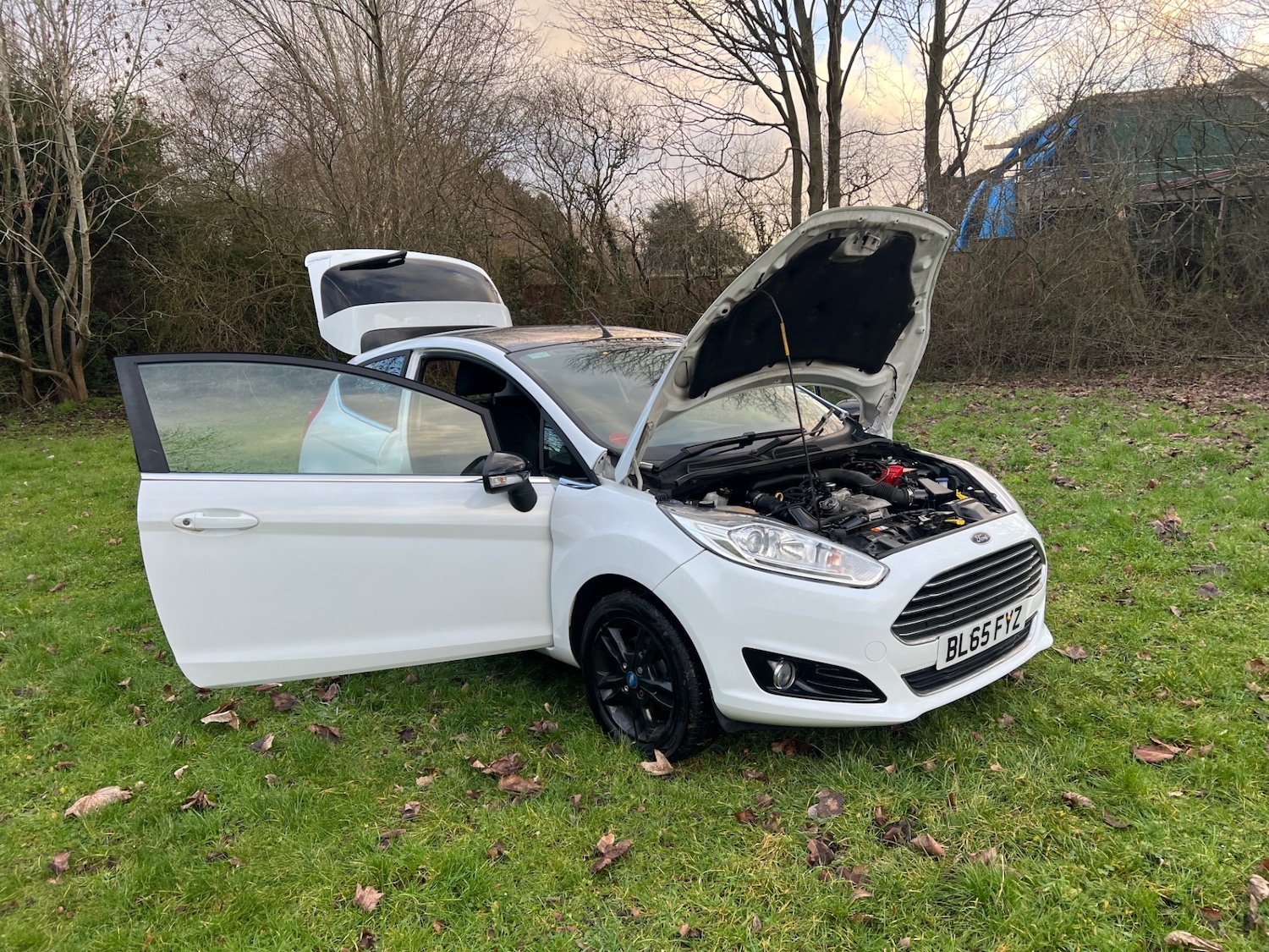 Used Ford Fiesta 2015 for sale - 77228528: Photo 30