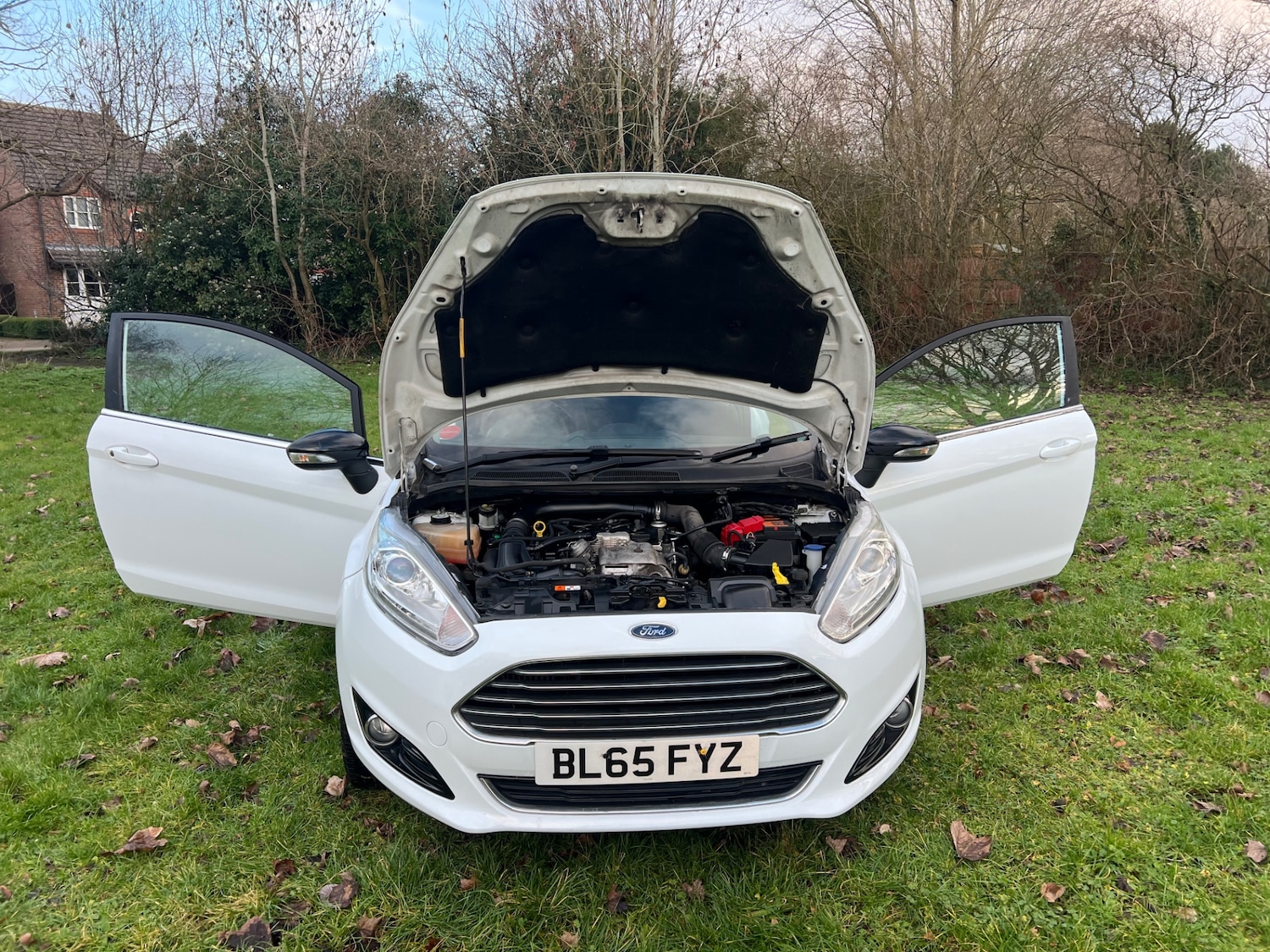 Used Ford Fiesta 2015 for sale - 77228528: Photo 32