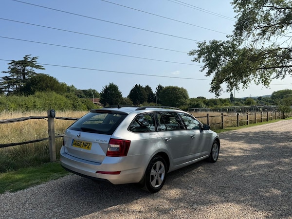 Used Skoda Octavia 2016 for sale - 75593108: Photo 7