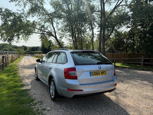 Used Skoda Octavia 2016 for sale - 75593108: Photo 8