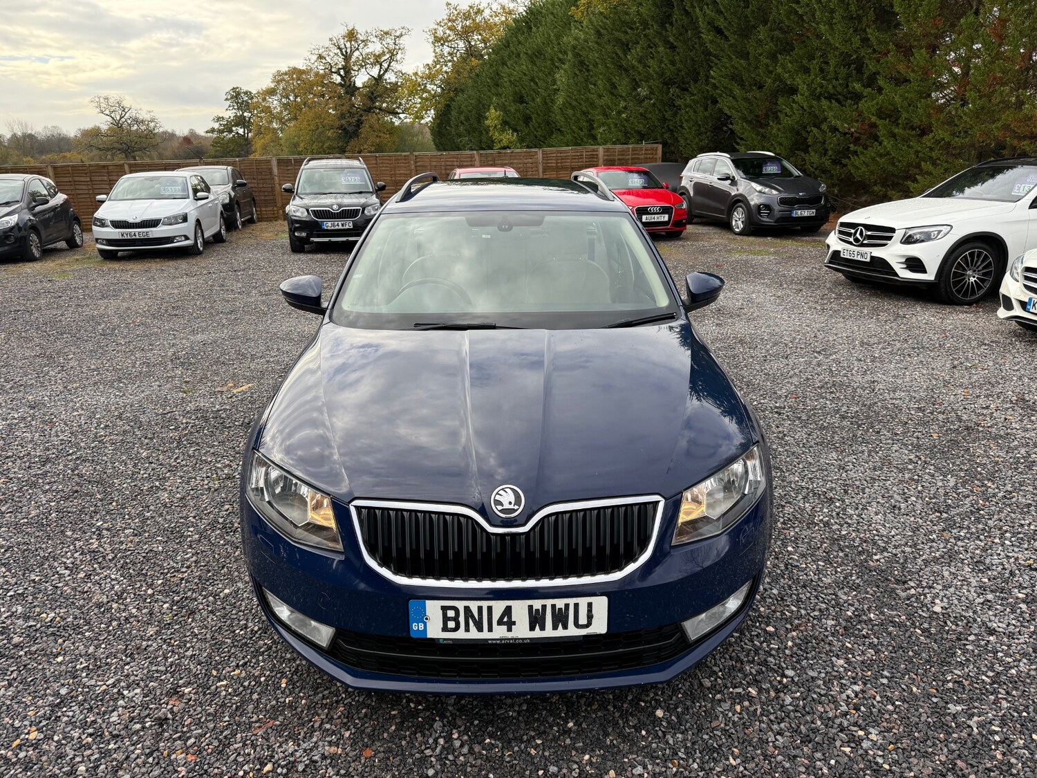 Used Skoda Octavia 2014 for sale - 76553886: Photo 3