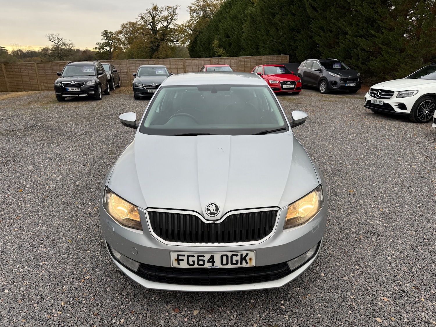 Used Skoda Octavia 2014 for sale - 76611223: Photo 3