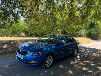 Used Skoda Octavia 2017 for sale - 79372411: Photo