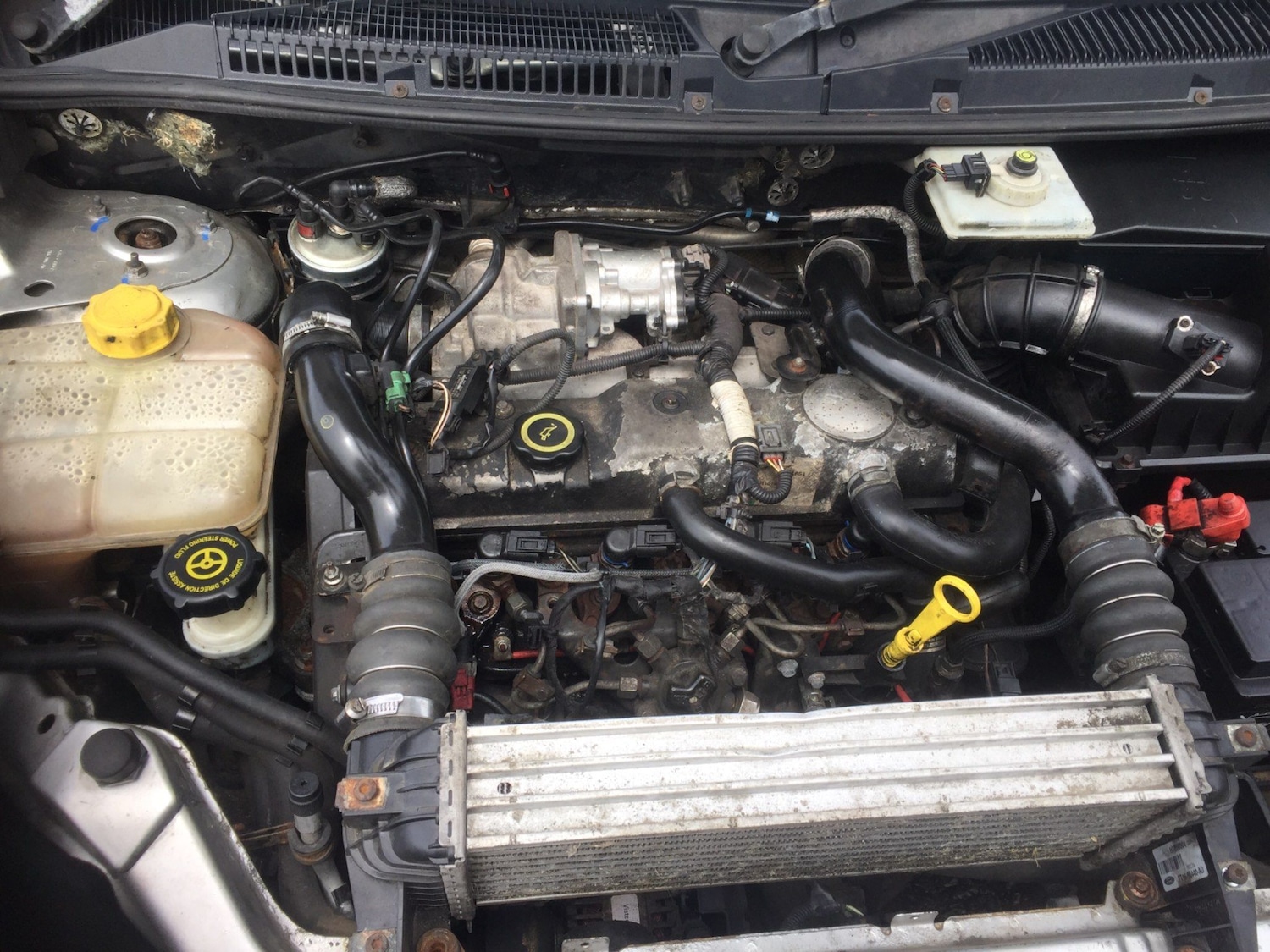 Used Ford Transit Connect 2008 for sale - 76942646: Photo 11