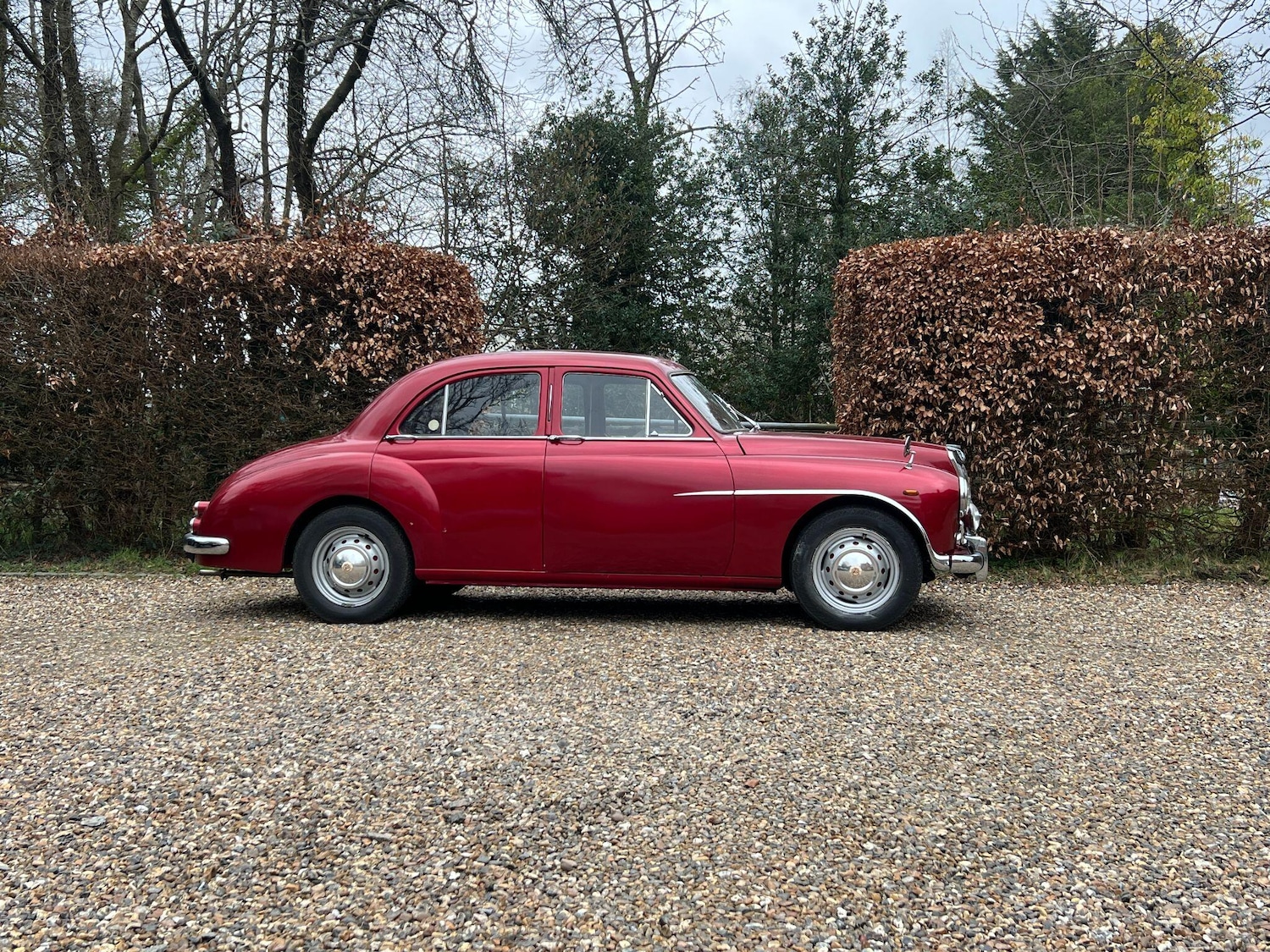 Used MG Magnette 1954 for sale - 77683065: Photo 2