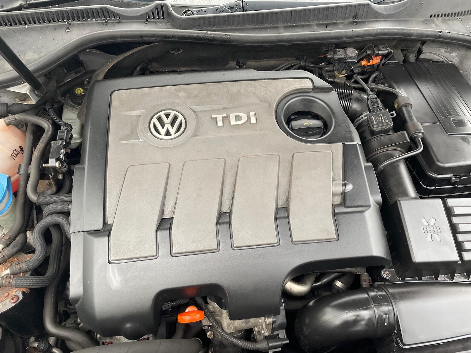 Used Volkswagen Golf 2011 for sale - 77029258: Photo 11