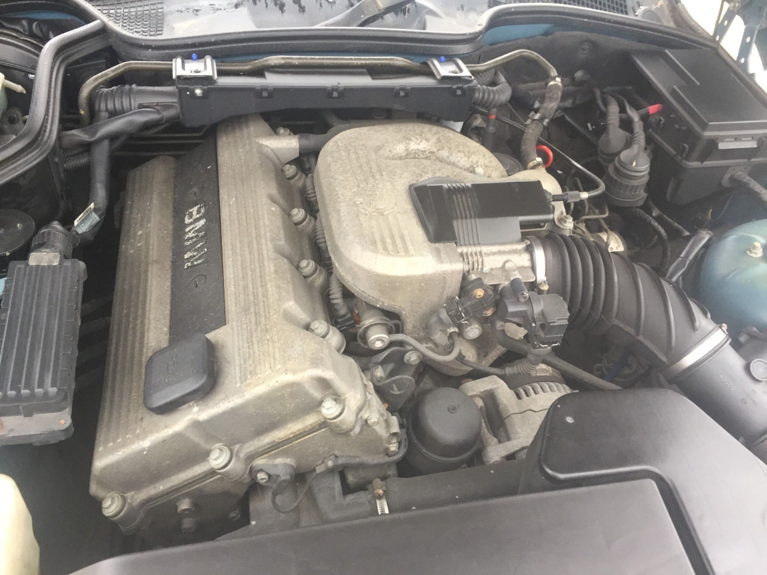 Used BMW Z3 1998 for sale - 76499672: Photo 11