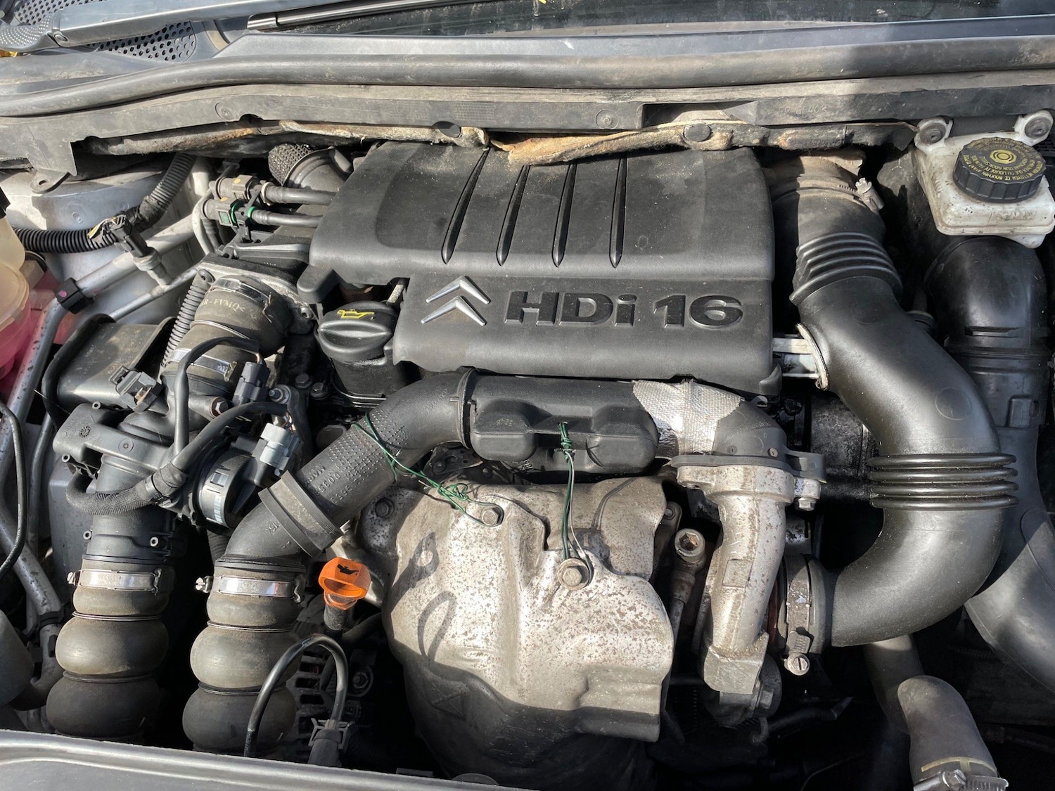 Used Citroen C4 2008 for sale - 76499975: Photo 13