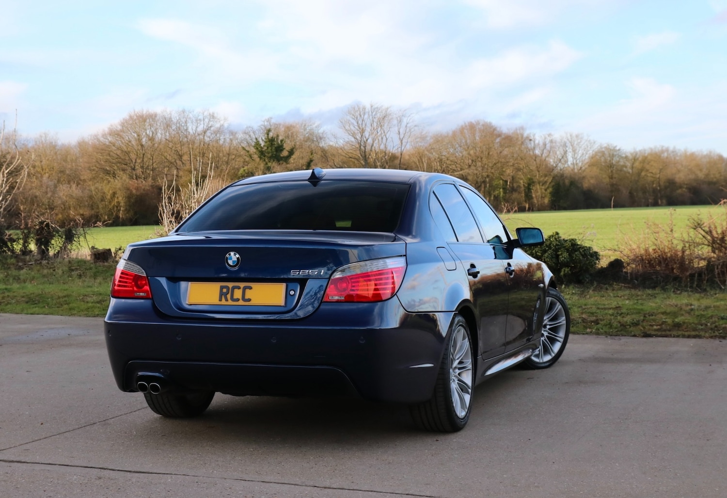 Used BMW 5 Series 2008 for sale - 77319923: Photo 3