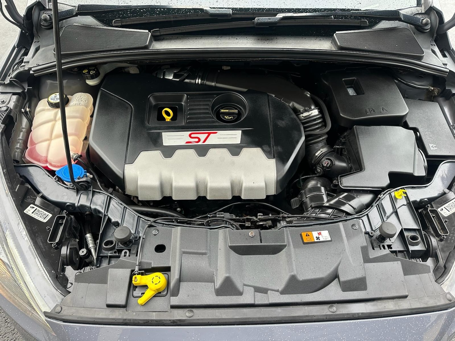 Used Ford Focus 2016 for sale - 76751686: Photo 16