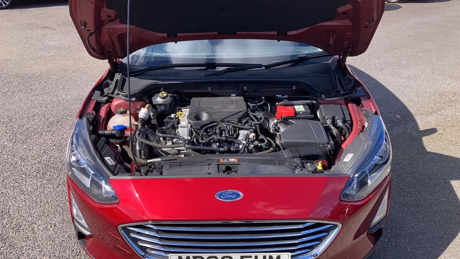 Used Ford Focus 2020 for sale - 78131684: Photo 30