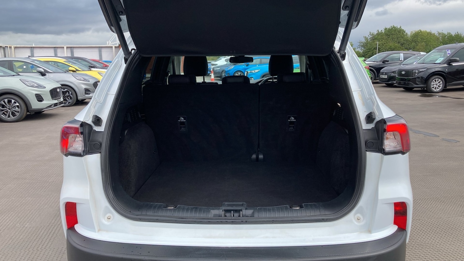 Vehicle 24