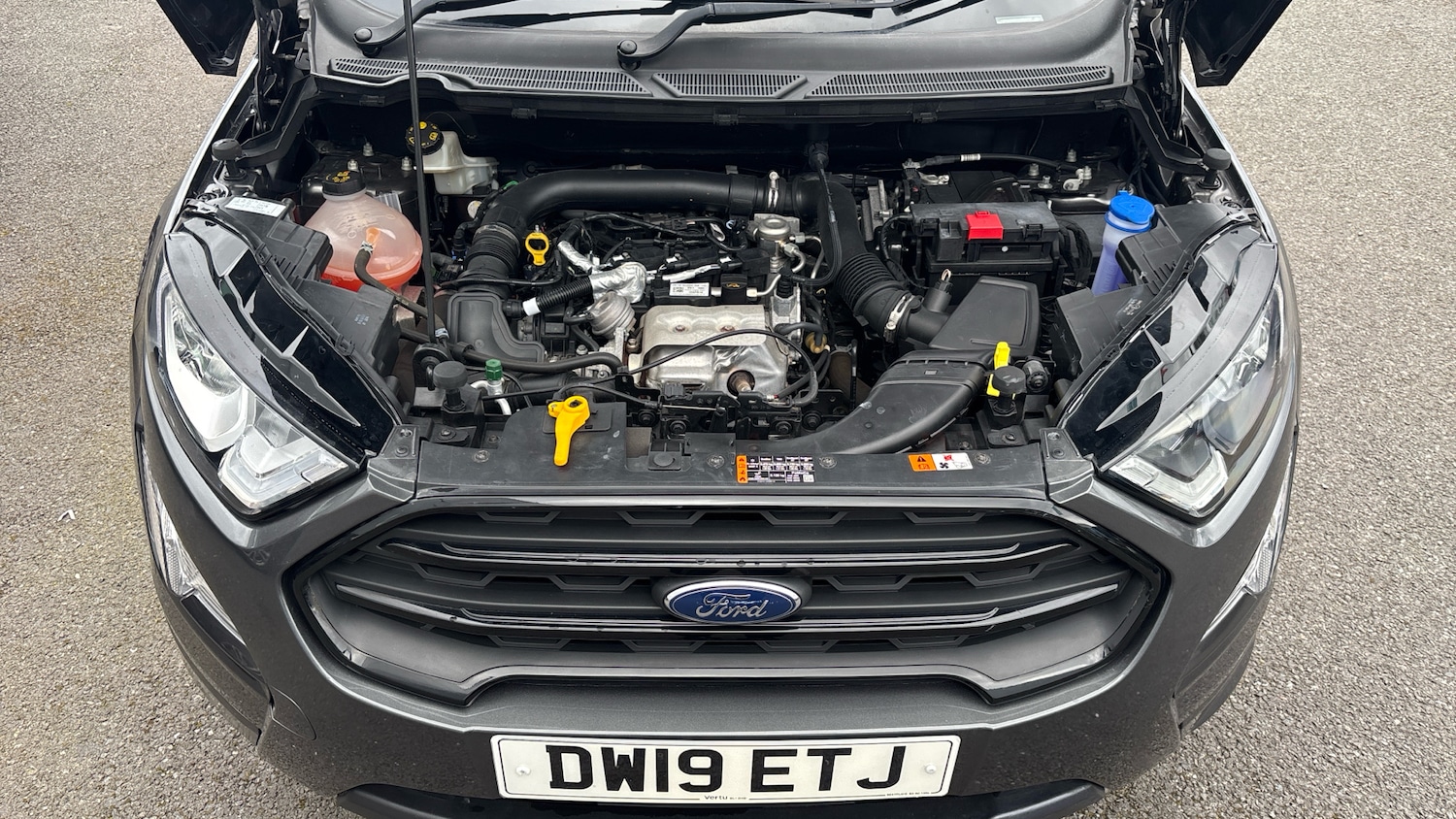Used Ford Ecosport 2019 for sale - 78078010: Photo 32