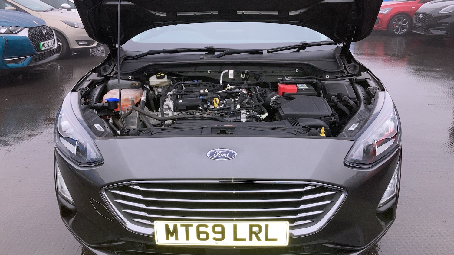 Used Ford Focus 2019 for sale - 77260739: Photo 31