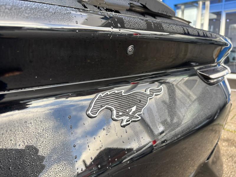 Used Ford Mustang Mach-E 2022 for sale - 76797002: Photo 9