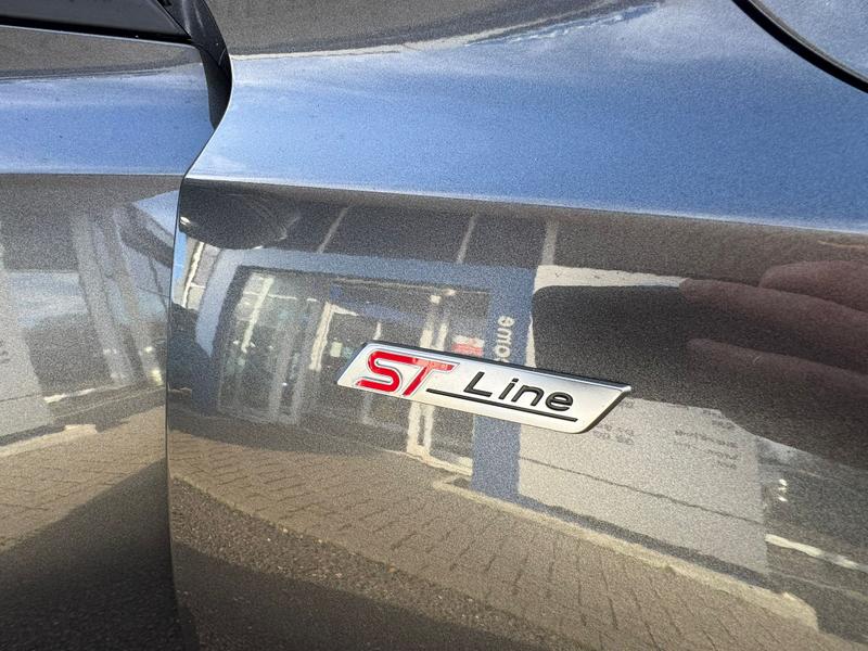 Used Ford Focus 2024 for sale - 77245215: Photo 9