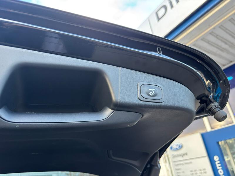 Used Ford Focus 2024 for sale - 77354396: Photo 10