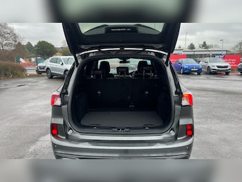 Used Ford Kuga 2020 for sale - 77489906: Photo