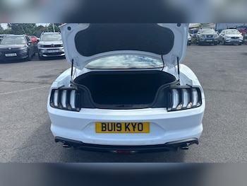 Used Ford Mustang 2019 for sale - 78568872: Photo