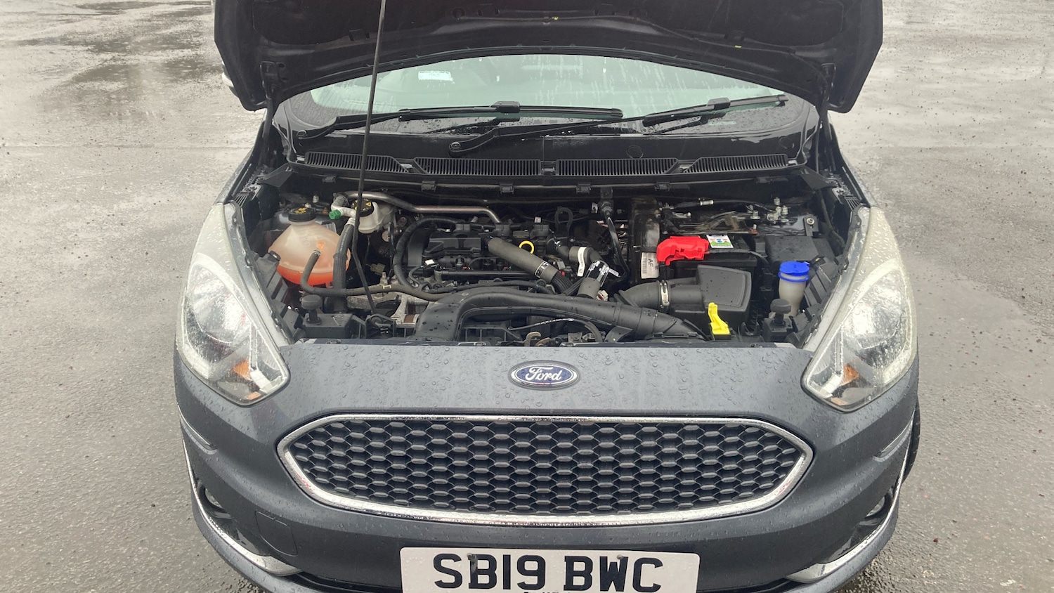 Used Ford Ka+ 2019 for sale - 77591303: Photo 8