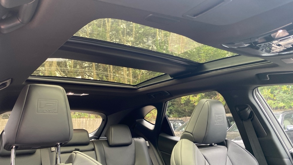 Used Lexus NX 2024 for sale - 76217095: Photo 6