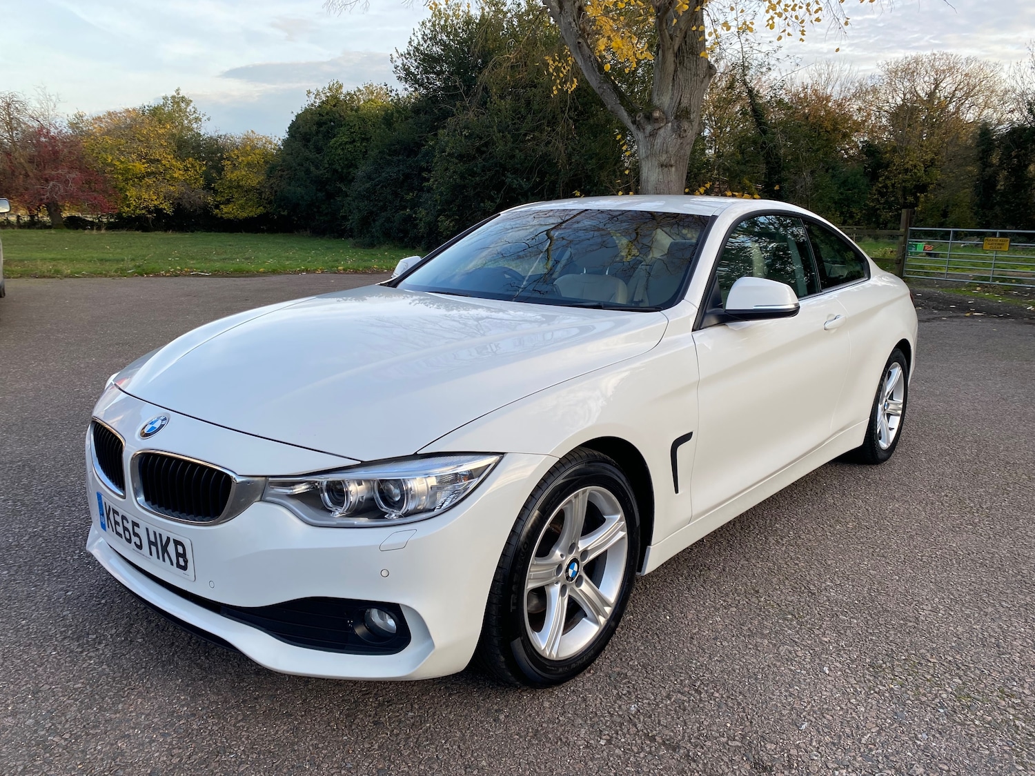 Used BMW 4 Series 2016 for sale - 76438914: Photo 4