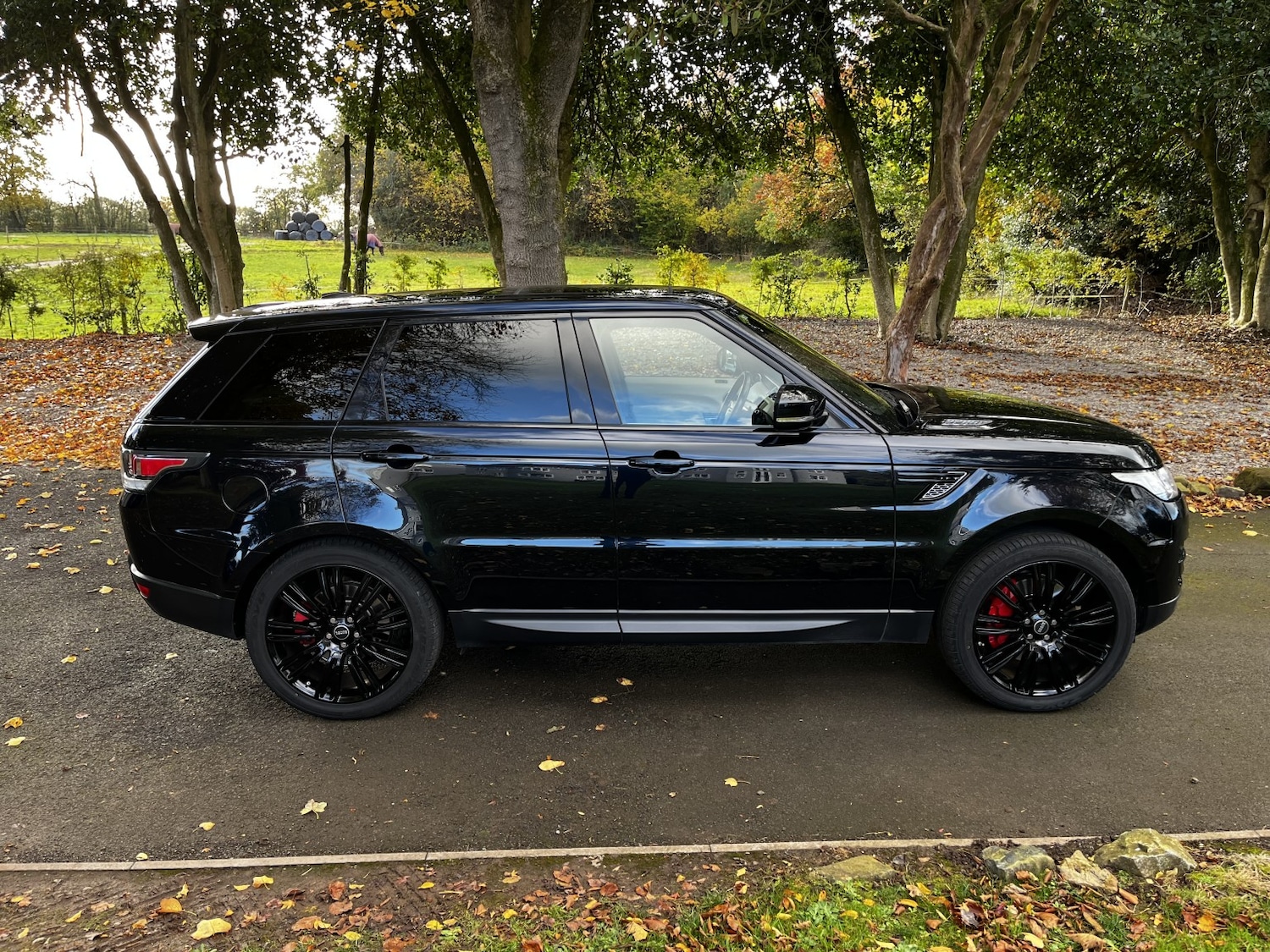 Used Land Rover Range Rover Sport 2014 for sale - 76769686: Photo 6