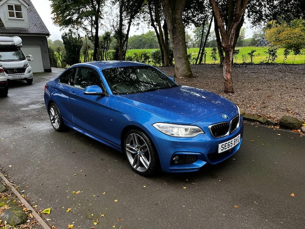 Used BMW 2 Series 2015 for sale - 76156736: Photo 2