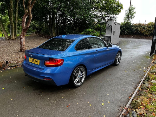 Used BMW 2 Series 2015 for sale - 76156736: Photo 4