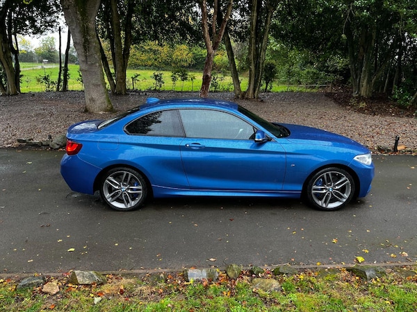 Used BMW 2 Series 2015 for sale - 76156736: Photo 6