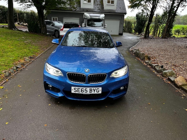 Used BMW 2 Series 2015 for sale - 76156736: Photo 7