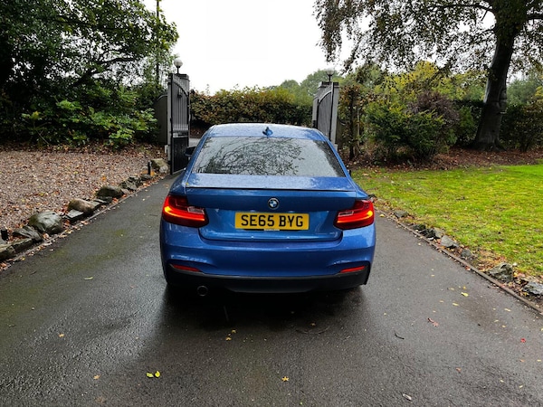 Used BMW 2 Series 2015 for sale - 76156736: Photo 8