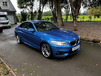 Used BMW 2 Series 2015 for sale - 76488692: Photo
