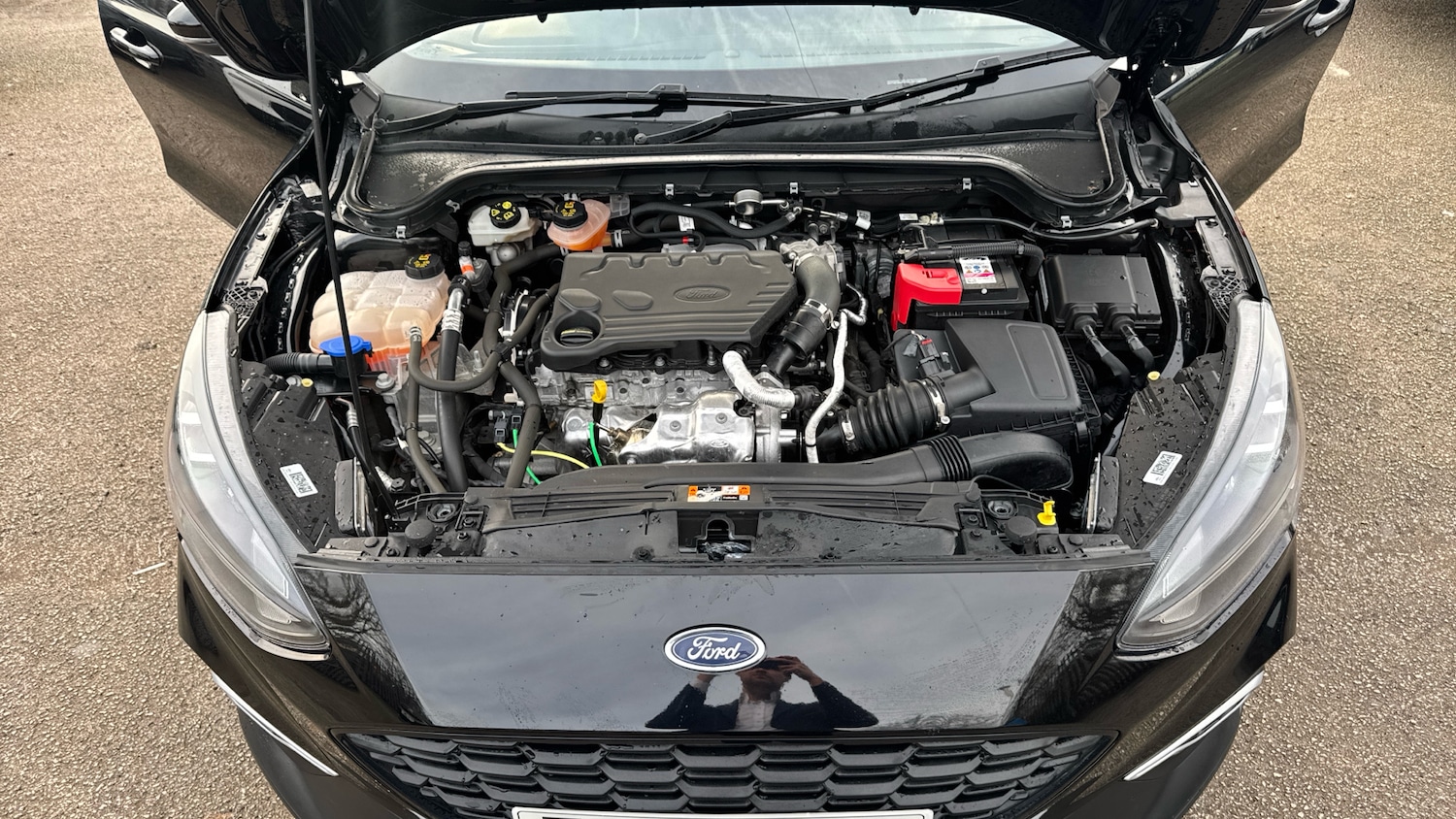 Used Ford Focus 2022 for sale - 77195172: Photo 8