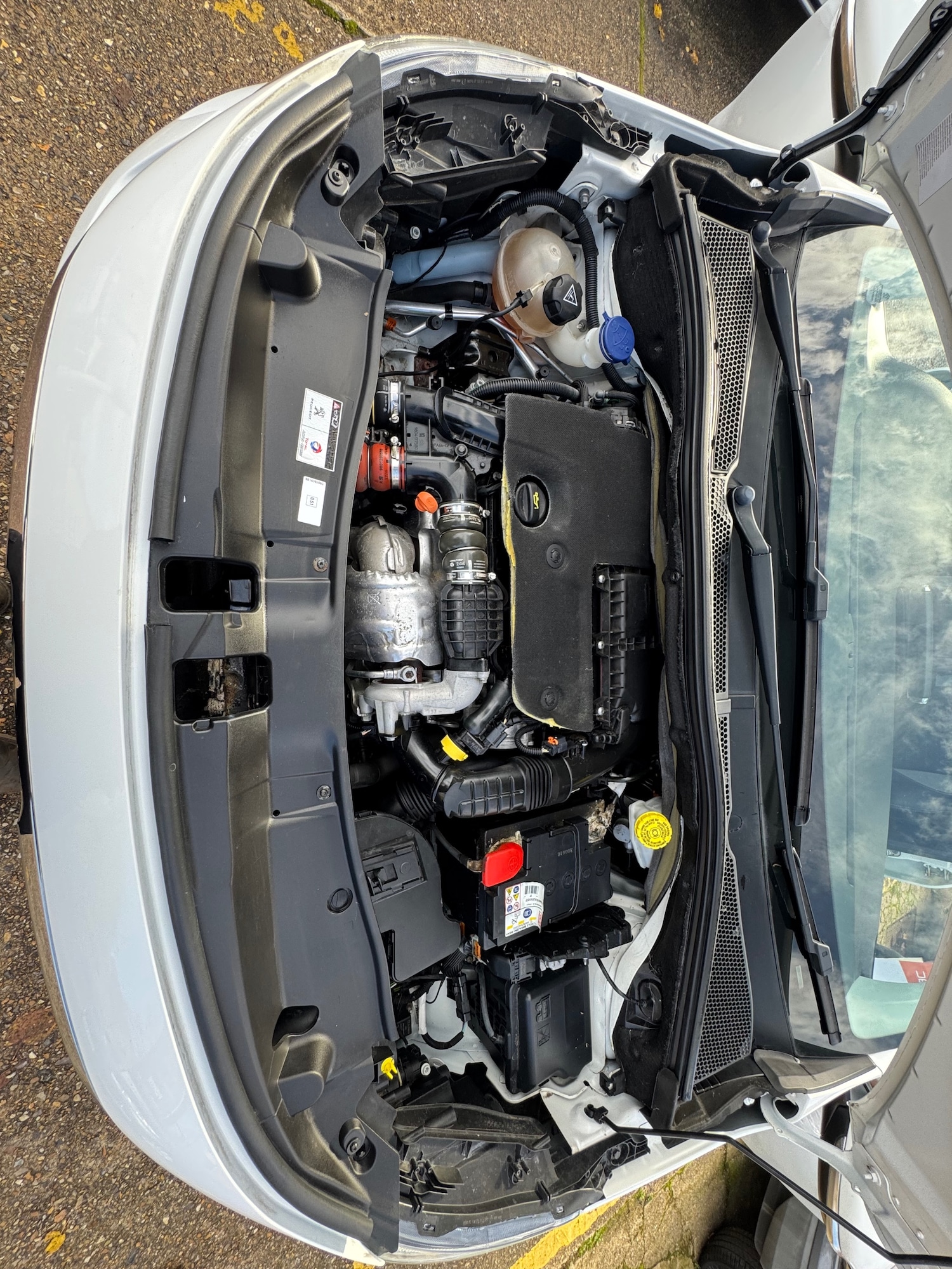 Used Peugeot 2008 2016 for sale - 76464488: Photo 13