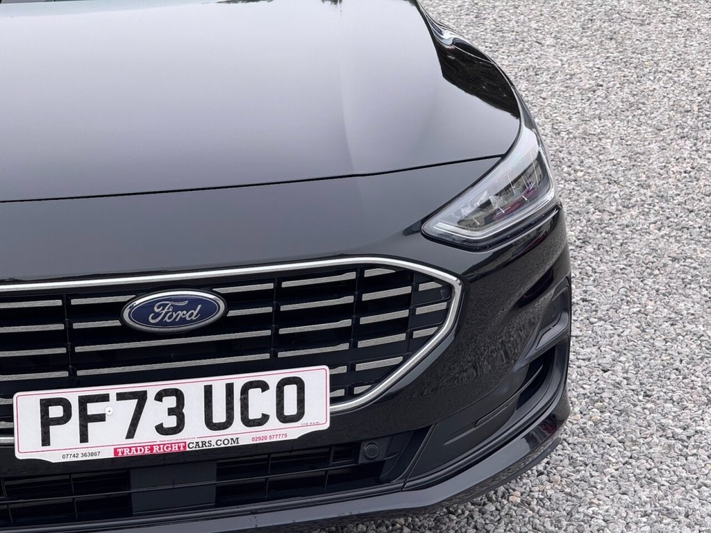 Used Ford Focus 2023 for sale - 78134247: Photo 5